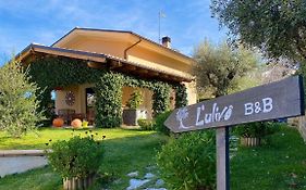 L' Ulivo Bed&Breakfast