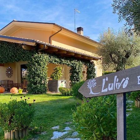 L' Ulivo Bed&Breakfast Teramo Esterno foto