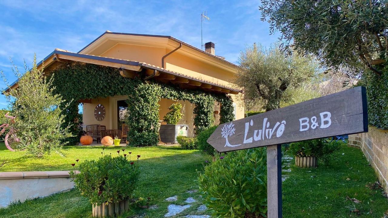 L' Ulivo Bed&Breakfast Teramo Esterno foto
