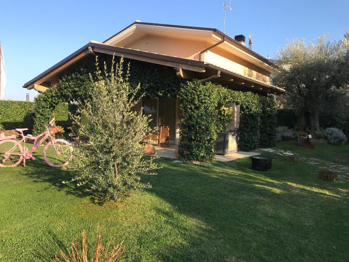 L' Ulivo Bed&Breakfast Teramo Esterno foto