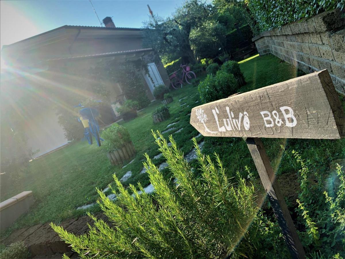 L' Ulivo Bed&Breakfast Teramo Esterno foto