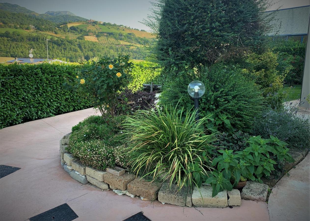 L' Ulivo Bed&Breakfast Teramo Esterno foto