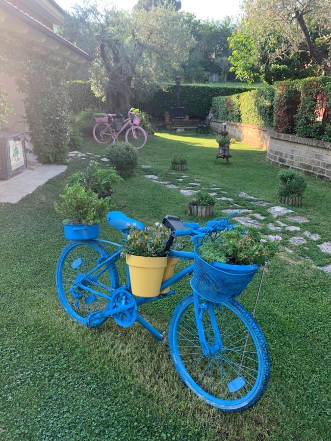 L' Ulivo Bed&Breakfast Teramo Esterno foto